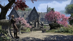 The Elder Scrolls OnlinePlayStation 4ǤǤΥץ쥤˥ץߥॢȤɬפʤ
