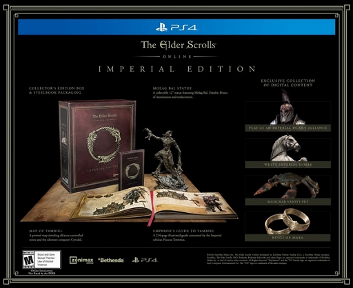 The Elder Scrolls OnlinePlayStation 4ǤǤΥץ쥤˥ץߥॢȤɬפʤ
