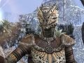��The Elder Scrolls Online��PlayStation 4�ǤǤΥץ쥤�˥ץ�ߥ��ॢ������Ȥ�ɬ�פʤ�