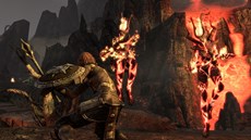 画像ギャラリー No.006のサムネイル画像 / 「The Elder Scrolls Online」国内での発売日が4月4日に決定。アーリーアクセス権やペットなどがもらえる予約特典も