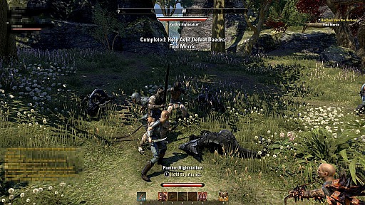 ������#003�Υ���ͥ���/��The Elder Scrolls Online�צ¥ƥ��ȥ�ݡ��ȡ��ץ쥤�οʤ߶����Ѥ�륳��ƥ�Ĥ�̥��