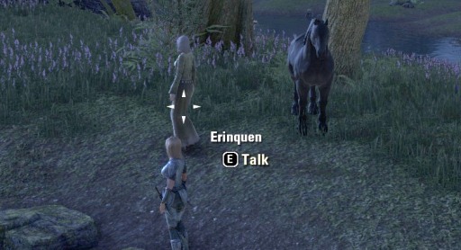 ������#015�Υ���ͥ���/��The Elder Scrolls Online�צ¥ƥ��ȥ�ݡ��ȡ��ץ쥤�οʤ߶����Ѥ�륳��ƥ�Ĥ�̥��