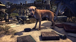 画像ギャラリー No.003のサムネイル画像 / 「The Elder Scrolls Online: Tamriel Unlimited」のサービスがスタート。月額課金制が廃止されたタムリエルに今こそ行こう