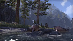 ꡼ No.009Υͥ / E3 2015BethesdaΥե󥹤ǡThe Elder Scrolls OnlineפΥåץǡȥץͽԤޤ࿷ϰ褬¿