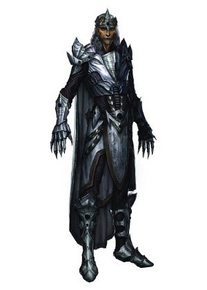 ���������꡼ No.007�Υ���ͥ������ / �����Ȳ�����Ͽ�οʤ�֥�����������������륺������饤��ס����ץ��㥹�Ⱦ�����2�ƤȺǿ������ֻ���ѻաפ���������������ŵ�ξ����