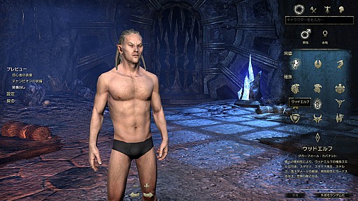 ꡼ No.017 | PR֥ۡ륺饤ܸǥȥɡ饯ä˽Ф褦