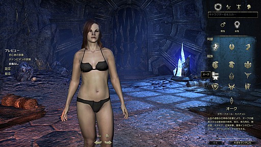 ꡼ No.019 | PR֥ۡ륺饤ܸǥȥɡ饯ä˽Ф褦