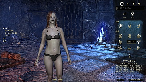 ꡼ No.022 | PR֥ۡ륺饤ܸǥȥɡ饯ä˽Ф褦