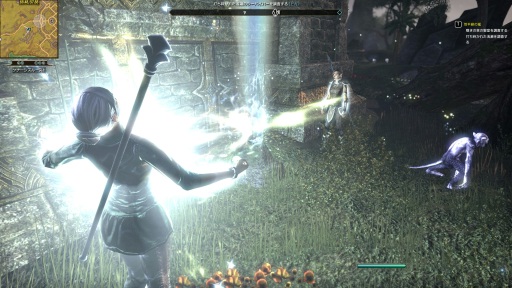 ꡼ No.010 | PR֥ۡ륺饤ܸǥȥɡץ쥤ǥꥨϤӤ̣臘