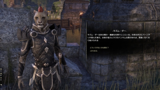 ꡼ No.020 | PR֥ۡ륺饤ܸǥȥɡȤΤĤʤ⸫Ѥ䥹ȡ꡼Ҳ