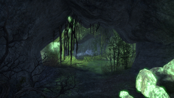 ꡼ No.059 | PR֥ۡ륺饤ܸǥȥɡȤΤĤʤ⸫Ѥ䥹ȡ꡼Ҳ