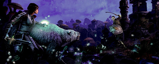 ꡼ No.006Υͥ / ֥륺饤פͭ緿åץǡȡMorrowindפ66˥꡼