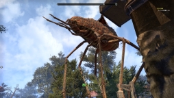 画像ギャラリー No.011のサムネイル画像 / 「エルダー・スクロールズ・オンライン」の有料大型アップデート「Morrowind」先行プレイ。新クラス「ウォーデン」やヴァーデンフェル島を紹介