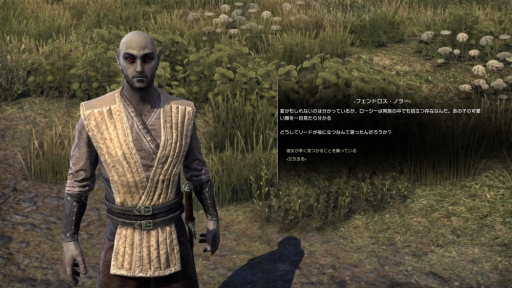 画像ギャラリー No.016のサムネイル画像 / 「エルダー・スクロールズ・オンライン」の有料大型アップデート「Morrowind」先行プレイ。新クラス「ウォーデン」やヴァーデンフェル島を紹介