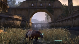 画像ギャラリー No.019のサムネイル画像 / 「エルダー・スクロールズ・オンライン」の有料大型アップデート「Morrowind」先行プレイ。新クラス「ウォーデン」やヴァーデンフェル島を紹介