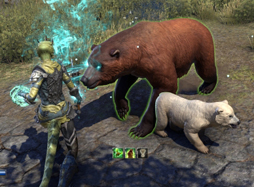 画像ギャラリー No.022のサムネイル画像 / 「エルダー・スクロールズ・オンライン」の有料大型アップデート「Morrowind」先行プレイ。新クラス「ウォーデン」やヴァーデンフェル島を紹介