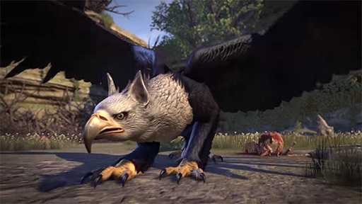 ꡼ No.006Υͥ / ֥륺饤פμ緿åץǡȡSummersetפȯɽ24ǯ֤о줷ϥդθζ