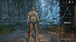 ꡼ No.011 | MMORPG֥륺饤פϹ³Ƥ롽꡼եλESO̥ϡ