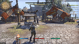 ꡼ No.029 | MMORPG֥륺饤פϹ³Ƥ롽꡼եλESO̥ϡ