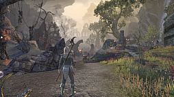 ꡼ No.035 | MMORPG֥륺饤פϹ³Ƥ롽꡼եλESO̥ϡ