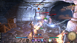 ꡼ No.062 | MMORPG֥륺饤פϹ³Ƥ롽꡼եλESO̥ϡ