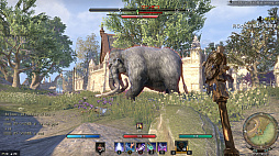 ꡼ No.063 | MMORPG֥륺饤פϹ³Ƥ롽꡼եλESO̥ϡ