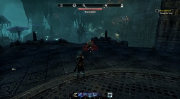 ���������꡼ No.015�Υ���ͥ������ / ��Skyrim�פ����椬�֥�����������������륺������饤��פ��о졣���ϤȤʤ�֥��쥤�ࡼ���ץ��åץǡ��Ȥ���ԥץ쥤