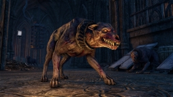 ���������꡼ No.025�Υ���ͥ������ / ��Skyrim�פ����椬�֥�����������������륺������饤��פ��о졣���ϤȤʤ�֥��쥤�ࡼ���ץ��åץǡ��Ȥ���ԥץ쥤