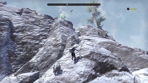 画像ギャラリー No.014のサムネイル画像 / 「エルダー・スクロールズ・オンライン」メールインタビュー。7年目に入ったサービスの現状や新章「グレイムーア」について聞いた