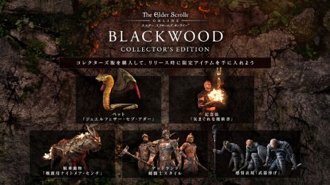 ���������꡼ No.002�Υ���ͥ������ / ��ESO�פΥ��åץǡ��ȥѥå������ȥ֥�å����åɡɤ�6��1����ȯ����ꡣ��Oblivion�פ��о줷���ϰ褬õ���Ǥ���