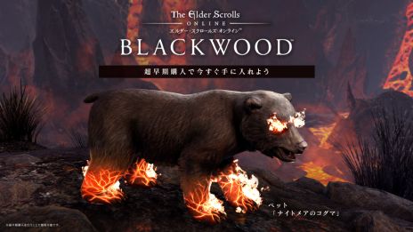 ���������꡼ No.004�Υ���ͥ������ / ��ESO�פΥ��åץǡ��ȥѥå������ȥ֥�å����åɡɤ�6��1����ȯ����ꡣ��Oblivion�פ��о줷���ϰ褬õ���Ǥ���