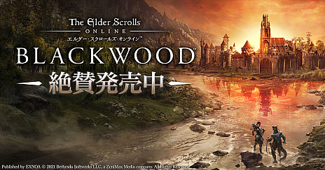 ���������꡼ No.001�Υ���ͥ������ / �֥�����������������륺������饤��פκǿ����åץǡ��ȥѥå������֥֥�å����åɡפ����䤬�������ȡ���30�ƥ��åץǡ��Ȥ�»�