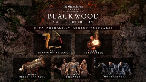 画像ギャラリー No.002のサムネイル画像 / 「エルダー・スクロールズ・オンライン」日本語版のオータムセールが開催。最新DLC“ブラックウッド”が50%オフ,ベースゲームが89%オフに