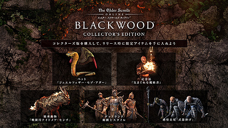「エルダー・スクロールズ・オンライン」日本語版のセールでベースゲームが税込653円に。DLC“ブラックウッド”関連の対象商品は67％オフ