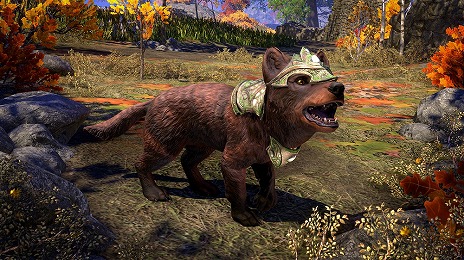 ���������꡼ No.014�Υ���ͥ������ / �֥�����������������륺������饤��׺ǿ�DLC�֥����ꥢ������������ۿ���������ץ����ˤĤʤ���2�Ĥο����󥸥���о�