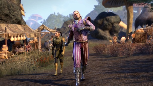 画像ギャラリー No.026のサムネイル画像 / 「エルダー・スクロールズ・オンライン」の2026年は夜の市場から始まり,盗賊ギルドが再始動。シェオゴラスも大騒動を起こすと思ったら,冒険の舞台は外洋と嵐のスカイリムへ