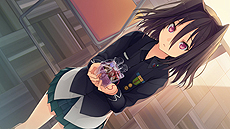 ���������꡼ No.003�Υ���ͥ������ / PSP����������ȥ��祳�졼�� �ݡ����֥�ס�������Ͽ�Υ��٥��CG����Ӹ�����Ʊ����ŵ�ξܺ٤����