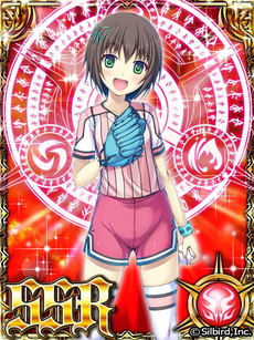 ꡼ No.008 | ֥ǥʥפȡ֥֥ɥ饴פߥܤ321˥