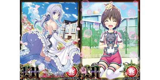 ꡼ No.013 | ֥ǥʥפȡ֥֥ɥ饴פߥܤ321˥