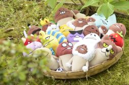 ꡼ No.001 | ֤ʤᤳݥåȡפκ°ػҤо졣åԤWebȤ⥪ץ