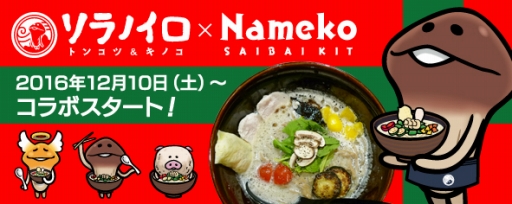 ꡼ No.001Υͥ / ֤ʤᤳݥåȡפȥΥ ȥ󥳥ġΥΥܥ顼1210ȯ