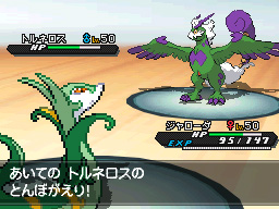 画像集 019 目指すは伝説のポケモン達の捕獲 ポケモン 本編と連動する