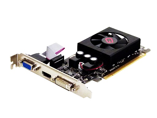 ꡼ No.002 | GainwardGT 610620630ɤȯ䡣2ʤLow Profileб