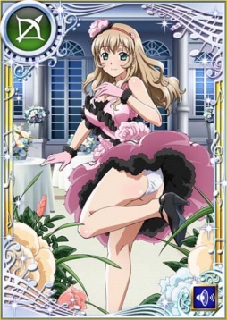 ���������꡼ No.007�Υ���ͥ������ / �ְ쵳���� �С����ȥե����ȡס��ܥ����դ����쥢��VR�ɤ���������