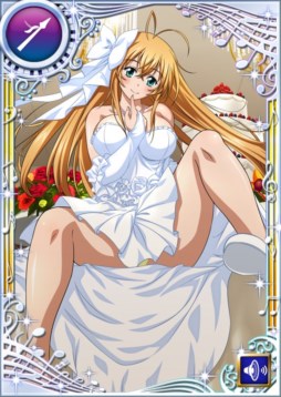 セクシー美女キャラクターカード　一騎当千　孫権仲謀 ラスト FIG]孫権仲謀(そんけんちゅうぼう) 水着Ver. BLACK 一騎当千