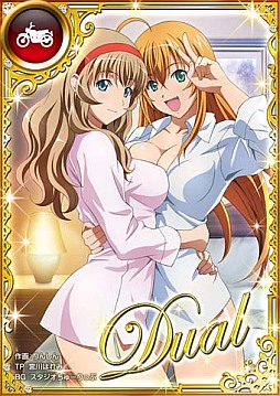 ���������꡼ No.008�Υ���ͥ������ / �ְ쵳����С����ȥե����ȡס����쥢��ƥ���Dual�פ���1�ƥ����ɤ��о�