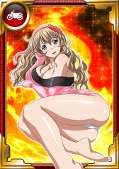 画像ギャラリー No.005のサムネイル画像 / 「一騎当千 バーストファイト」，イベント「スケスケ♪年末カーニバル」が開幕