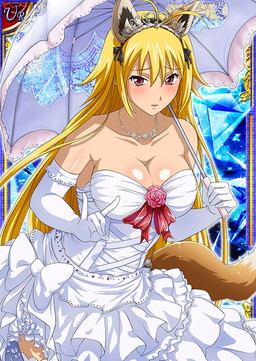 ꡼ No.003 | ְ쵳 Сȥեȡס٥ȡȤȤιβ?ɤ