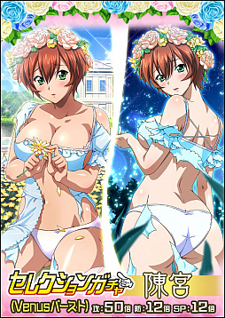 ꡼ No.005 | ְ쵳 Сȥեȡפǡ!դΥեեƥХɤ