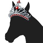 ���������꡼ No.007�Υ���ͥ������ / �֥����ӡ��ߥ����ӡ��׸���졼�������Ƥ��ơֽ����Υƥ�����פ�������褦